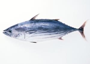 ラインナップが豊富な美味しいお米とは