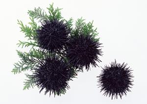 新メニューのシーズニングを作るなら