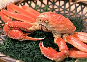 絶品あんこう鍋の楽しみ方をご紹介！美味しさとこだわりが詰まった逸品を堪能しよう！