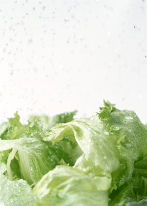 【2025年最新版】心斎橋の人気カフェ徹底ガイド｜選び方とおすすめスポット