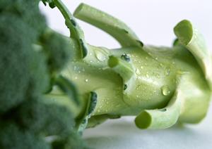 妊娠中や産後の女性にいい宅配弁当