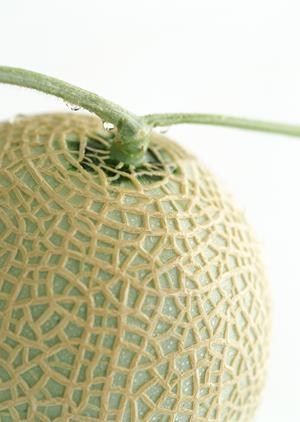 盛岡で和食をメインに提供する本格料亭