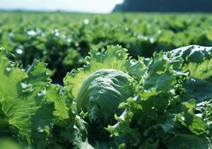 心斎橋にある気軽に利用できる自習室