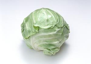 新しいことに挑戦したい人におすすめ