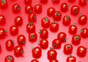 心斎橋で美味しい焼き鳥が食べられるお店